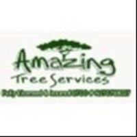 amazingtree